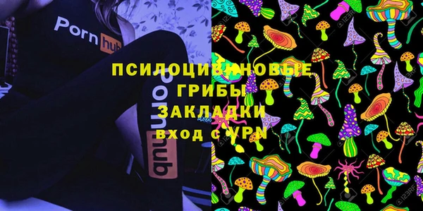 а пвп мука Богданович